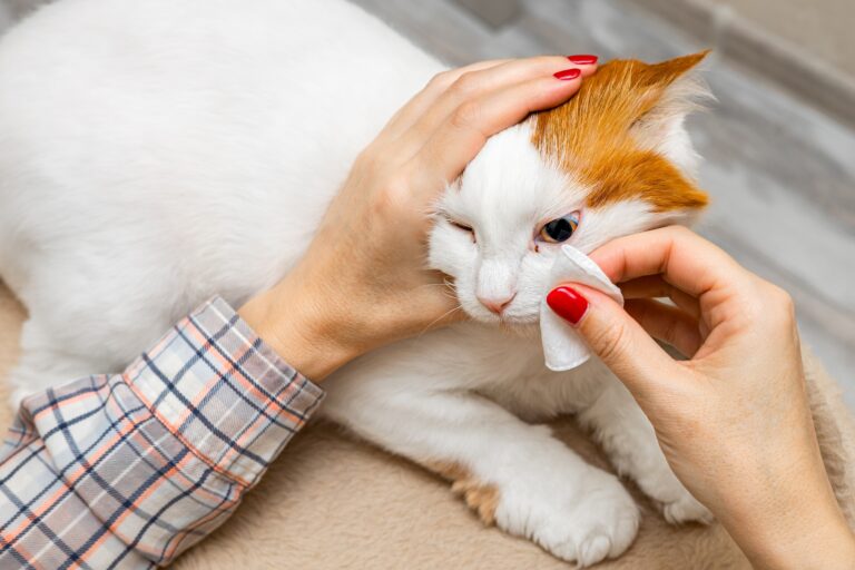 A,Woman,Wipes,A,Cat's,Eye,With,A,Cotton,Pad